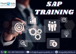 Best SAP Training Institute in Noida at ShapeMySkills