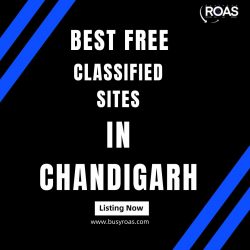 Best Free Classified Sites in Chandigarh