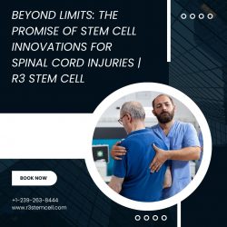 Beyond Limits: The Promise of Stem Cell Innovations for Spinal Cord Injuries | R3 Stem Cell