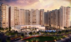 Real Estate Trends In Bangalore