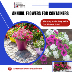 Blooms for Your Garden with Container Flowers