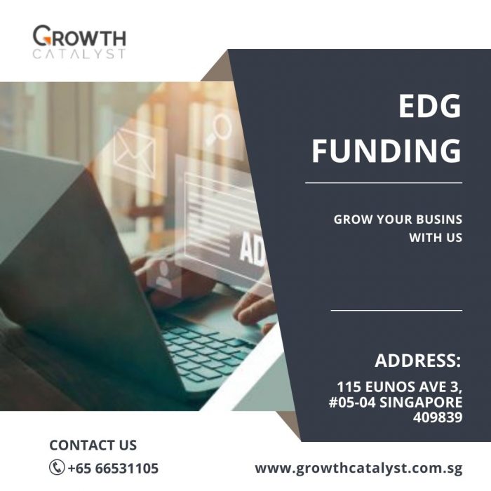 Boost Your Business with EDG Funding in Singapore