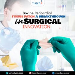 Bovine Pericardial Tissue Patch a Breakthrough in Surgical Innovation
