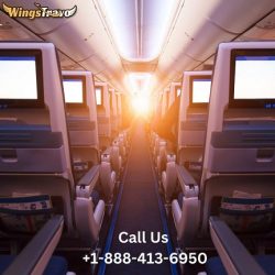 What is Business Class on Delta International Tickets?