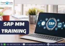 Career Booster with SAP MM Training at ShapeMySkills