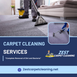 Revitalize Your Carpets With Our Services