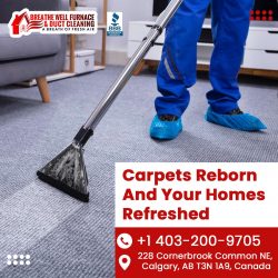 Carpet Cleaning Service in Calgary NE