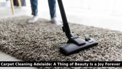 Carpet Cleaning Adelaide: A Thing of Beauty Is a Joy Forever