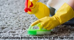 Carpet Cleaning Brisbane: We Work Magic with Your Carpet