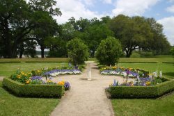 Charleston Gardens Tour with Old Walled City Tours