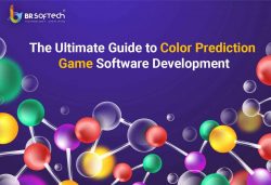 Color Prediction Game Software Development Company