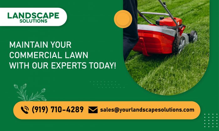 Get Flexible Commercial Lawn Care Services Today!