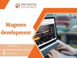 Tailored Magento Development Solutions to Boost Your Business