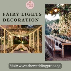 Create Fairy Tale Moments with Fairy Lights Decoration