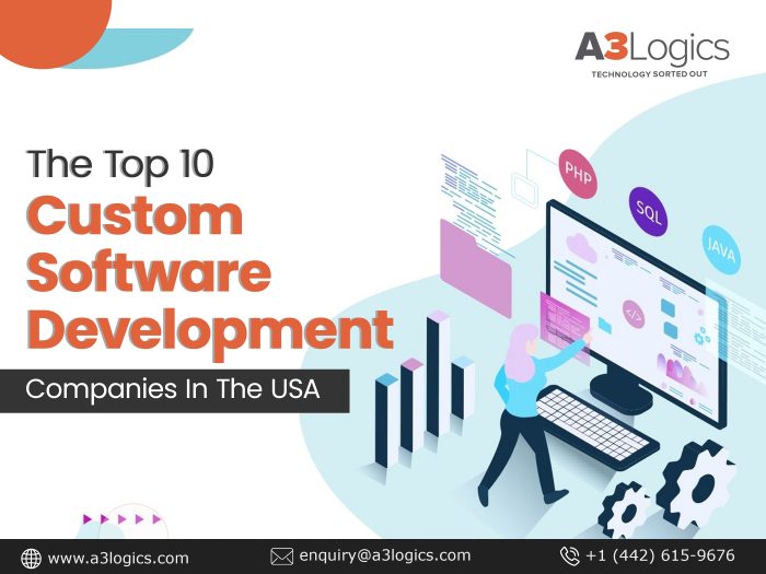 Top 10 Custom Software Developers and Consultants in the USA
