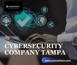Guardian Cybersecurity Company Tampa: Defend Your Digital Domain
