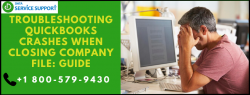 Demystifying the Causes and Solutions of QuickBooks Crashes Upon Closing Company File