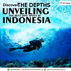 Discover the Depths Unveiling the Best Dive Spots in Indonesia