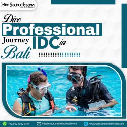 Dive Professional Journey IDC in Bali