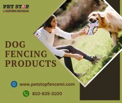 Explore Top-Quality Dog Fencing Products for a Safe and Secure Pet Haven