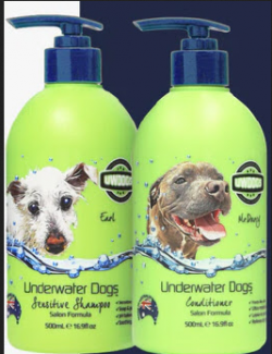 Order the best dog shampoo for hypoallergenic dogs