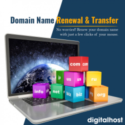 Domain Name Renewals- Your Path to Domain Continuity