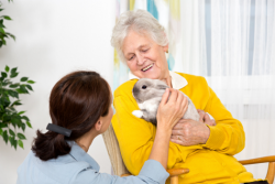 Does Adopting a Pet Boost Elderly Health?