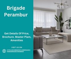 Experience Luxury Living in Brigade Perambur Chennai