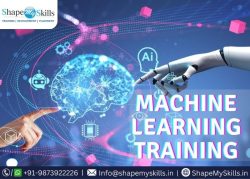 Earn AI with Machine Learning Training in Noida at ShapeMySkills
