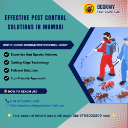 Effective Pest Control Solutions in Mumbai