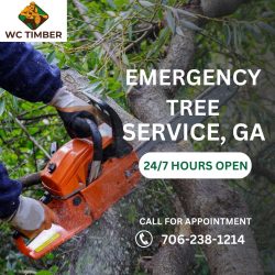 WC Timber & Tree Service: Your 24/7 Solution For Emergency Tree Service GA
