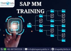 Enroll Our Best SAP MM Training in Noida at ShapeMySkills