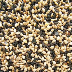 Explore Premium Sesame Seeds Exporters Online in India