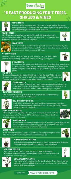 15 Fast Producing Fruit Trees, Shrubs & Vines