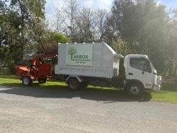 Arbor Tree and Stump Removal – Your First Choice for Hazardous Tree Removal