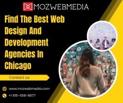 Find The Best Web Design And Development Agencies In Chicago