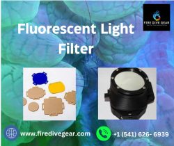 Elevate Ambiance with Fluorescent Light Filter Solutions