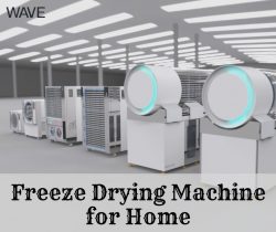 Home Food protecting with a Freeze Drying Machine