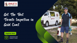 Get The Best Termite Inspection in Gold Coast