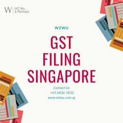 Streamline Your Taxes: Expert GST Filing Services in Singapore by WZWU Company