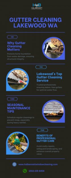 Gutter Cleaning Services in Lakewood, WA for a Pristine Home Exterior