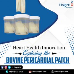 Heart Health Innovation Exploring the Bovine Pericardial Patch