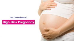 An Overview of High-Risk Pregnancy