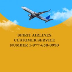 How Do I Talk to Someone on Spirit Airlines?