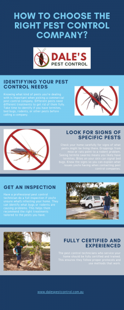 HOW TO CHOOSE THE RIGHT PEST CONTROL COMPANY?