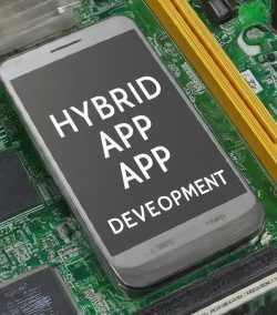 Hybrid vs. Native App Development: Which is Right for Your Business?