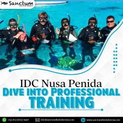 IDC Nusa Penida- Dive into Professional Training