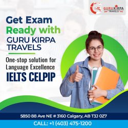How To Compare And Choose The Best IELTS Classes?