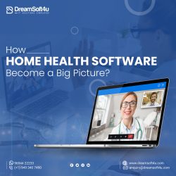 Guidelines for Choosing Home HealthCare Software