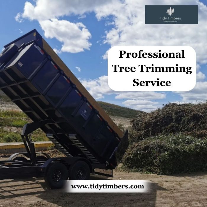 Professional Tree Trimming Service